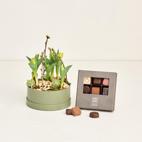 Hatteæske med babytulipaner med CHO CHO 9 stk.